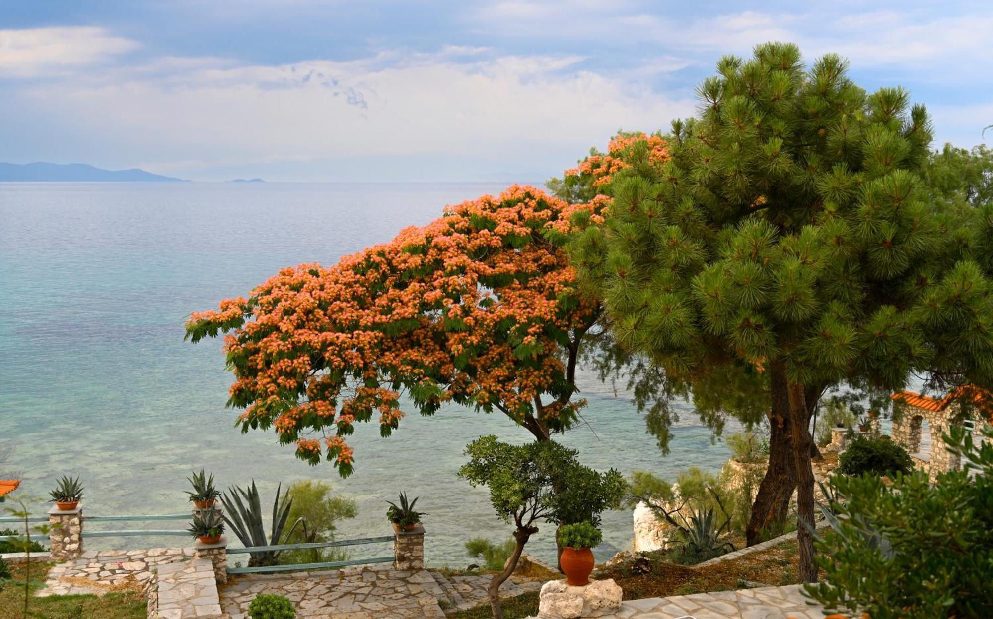 Kiparissi Villa Halkidiki Ierissós Zewnętrze zdjęcie